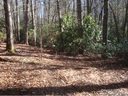 Tbd N Cherrywood Lane sold home in Pisgah Forest, SC