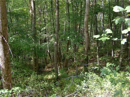 Lot 25 Spring Valley Drive