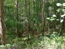 Lot 25 Spring Valley Drive sold home in Waynesville, SC