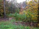 Lot 17 Pimlico Lane sold home in Waxhaw, SC