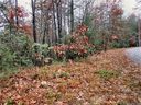 Lot 10 Oak Laurel Road sold home in Brevard, SC