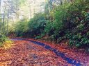 00 Dogwood Mountain Road sold home in Penrose, SC