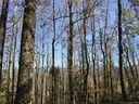 000 Mystic Mountain Road sold home in Asheville, SC