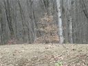 63 Drakes Way sold home in Waynesville, SC