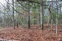 41 Wild Deer Trail sold home in Zirconia, SC