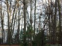 130 Washam Road sold home in Mooresville, SC