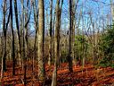 733 Slick Rock Road 1-A sold home in Brevard, SC