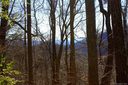 Lot 4 Granny Shepherd Road sold home in Mars Hill, SC