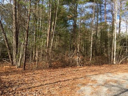 Lot 21 Cane Creek Circle sold lot in Cane Creek Cove, Fairview, NC