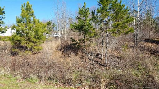 4528 Red Apple Drive 27 sold home in Applewood, Bessemer City, NC