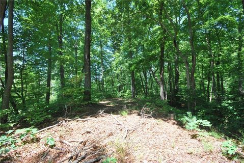30 Open Ridge Trail