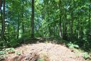 30 Open Ridge Trail sold home in Pisgah Forest, SC