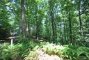 37 Poplar Crest Drive sold home in Pisgah Forest, SC