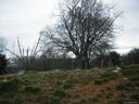 321 Wood Avenue 27,28,29,30 sold home in Kannapolis, SC