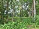 Lot 29 Jake Ridge Trail sold home in Fletcher, SC