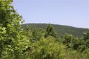 14 Crossing Circle 5 sold home in Fairview, SC