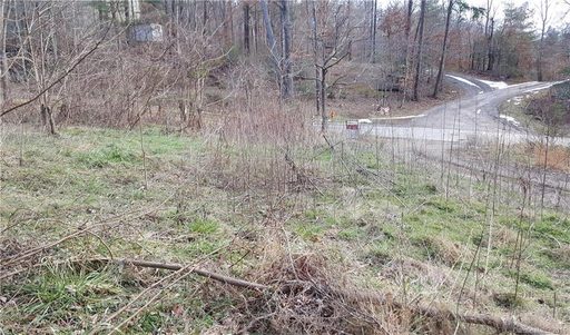 99999 Old Home Road part 95 & 95 1/2 sold lot in Pine Burr Park, Asheville, NC