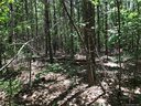 1511 Marshbrooke Lane sold home in Catawba, SC