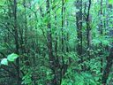 1509 Conestoga Crossing L6 (6C) & 7 (7C) Autumnwo sold home in Catawba, SC