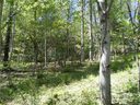 Lot 7 Pisgah Forest Drive sold home in Pisgah Forest, SC