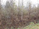 0000 Lazy Oak Drive sold home in Lancaster, SC