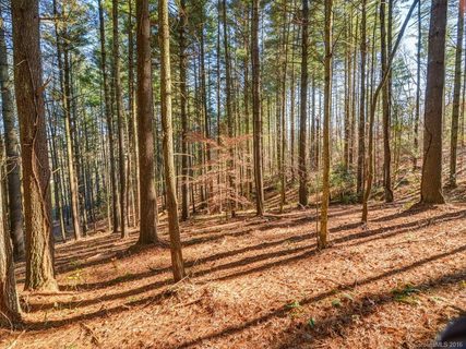 Lot 4 Cane Creek Road