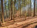 Lot 4 Cane Creek Road sold home in Fletcher, SC