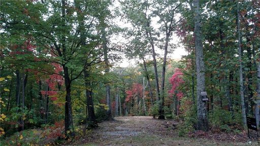 Lot 55 Grants Mountain Road