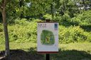 84 Grove Cove Drive Lot 13 sold home in Asheville, SC