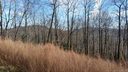 Lot 151 Winterstar None sold home in Lake Lure, SC