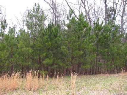 418 Ibis Lane sold lot in Heron Cove, Clover, SC