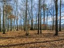 54 Bradford Vista sold home in Fletcher, SC