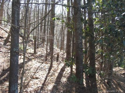 9999 Mountain Cove Road