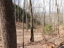 Tbd Lot 07 Hunting Lodge Drive sold home in Black Mountain, SC