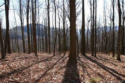 48 Timbercliff Trail 10