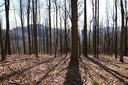 48 Timbercliff Trail 10 sold home in Black Mountain, SC