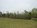 2529 Woodsorrel Lane 11 sold home in Charlotte, SC