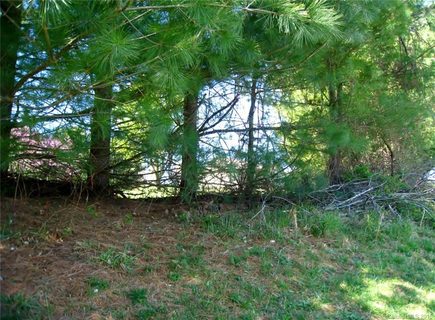 120 Mt Gilead Church Road 32