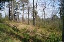 235 Hidden Meadows 19PT8 sold home in Hendersonville, SC