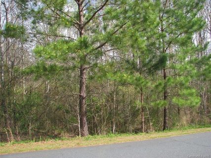 561 Peaceful Creek Drive 35 & 36