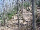 Lot 4 Anglers Ridge sold home in Waynesville, SC