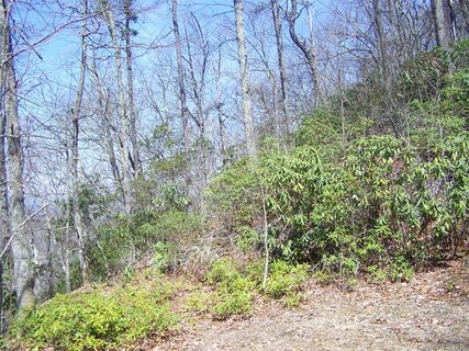Lot 7 Anglers Ridge
