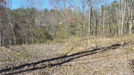 78 Walnut Drive 4 sold lot in Walnut Creek, Leicester, NC
