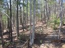 Lot 593 Grey Rock Road sold home in Lake Lure, SC