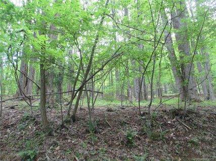 Lt 152 Poplar Drive sold home in High Vista Estates, Mills River, NC
