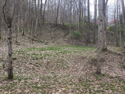 Lots 29 30 37 38 Apple Creek Road