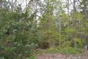 Lot 68 Falling Leaf Court sold home in Rock Hill, SC