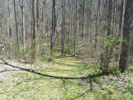 41 Rambling Ridge Road 6