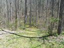 41 Rambling Ridge Road 6 sold home in Asheville, SC