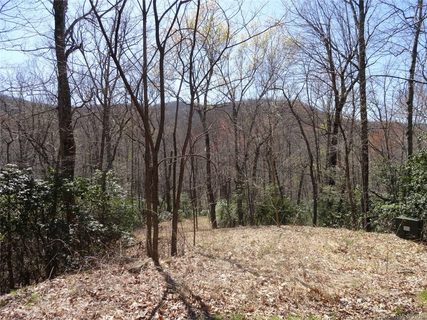 0 Chestnut Oak Lane